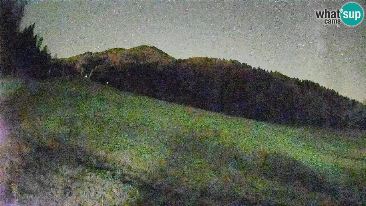 Ski Kranjska Gora | Brsnina