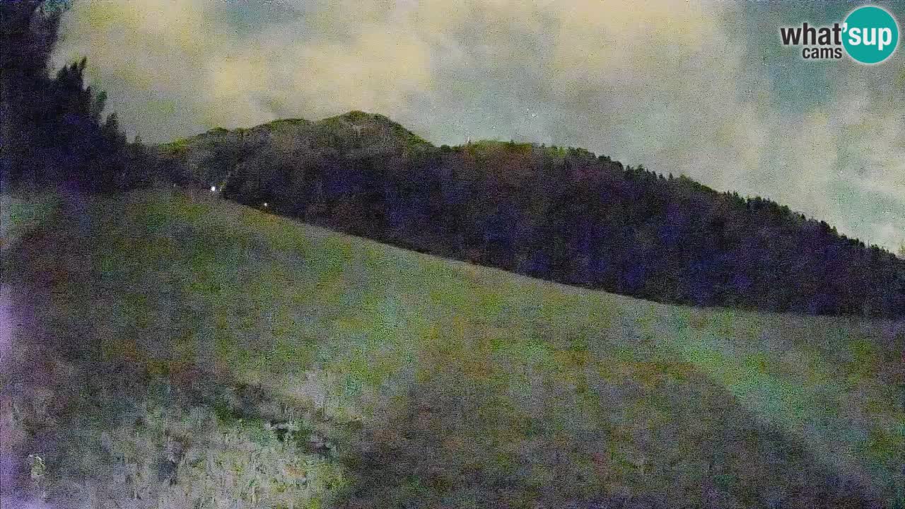 RTC Skigebiet Kranjska Gora | Brsnina