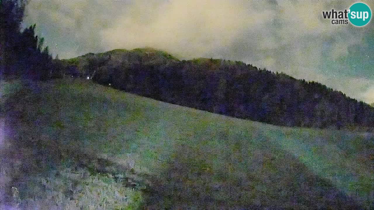 Esquí Kranjska Gora | Brsnina
