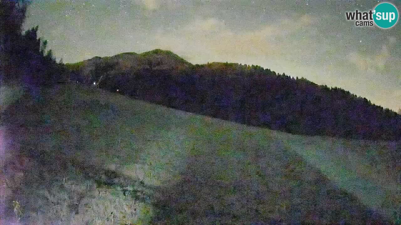RTC Skigebiet Kranjska Gora | Brsnina