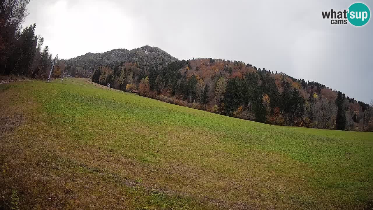 Kranjska Gora SKIJANJE | Brsnina