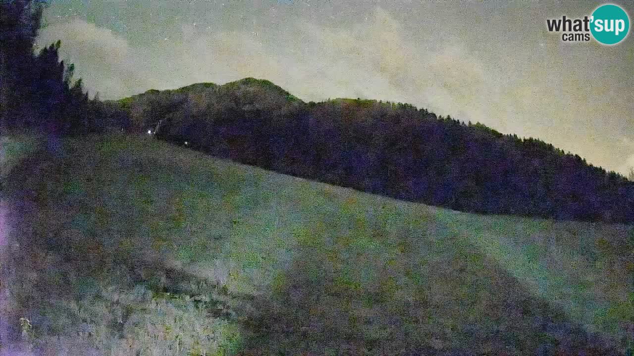 Esquí Kranjska Gora | Brsnina