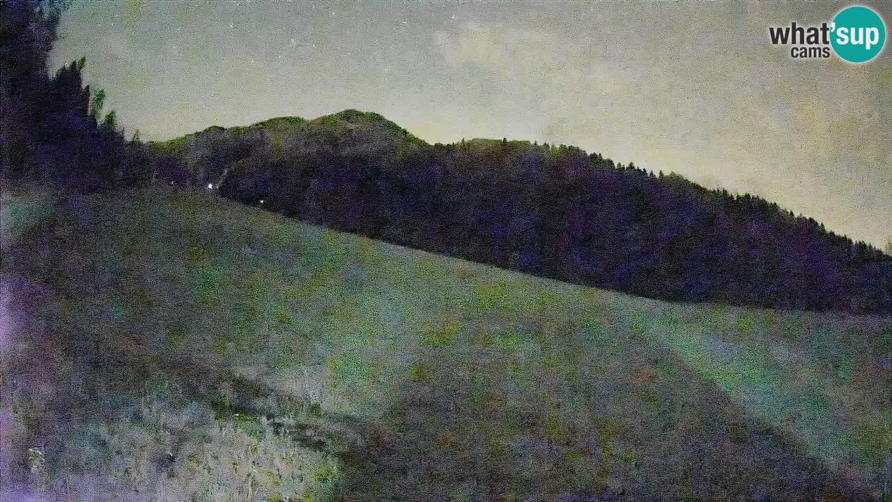 Comprensorio sciistico Kranjska Gora | Brsnina
