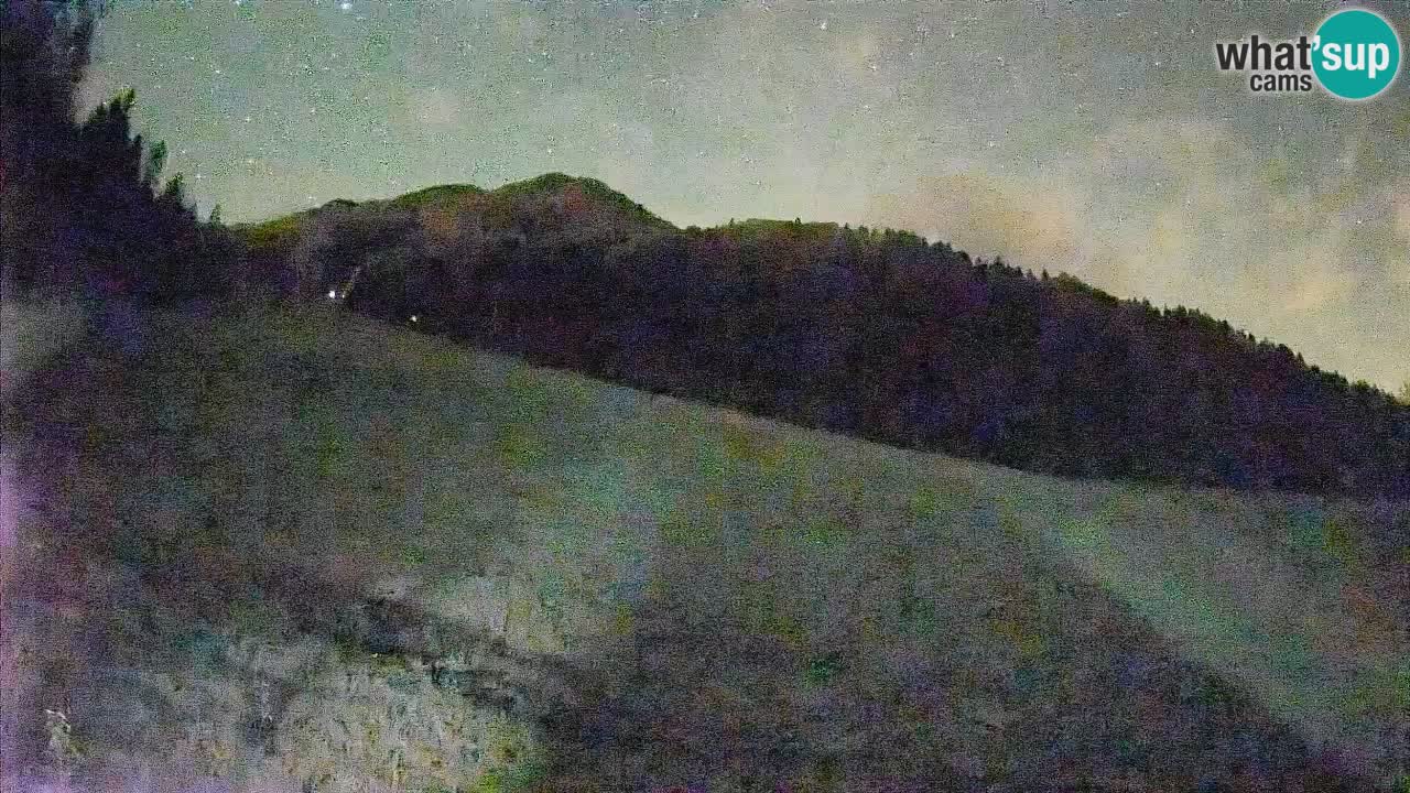 Ski Kranjska Gora | Brsnina