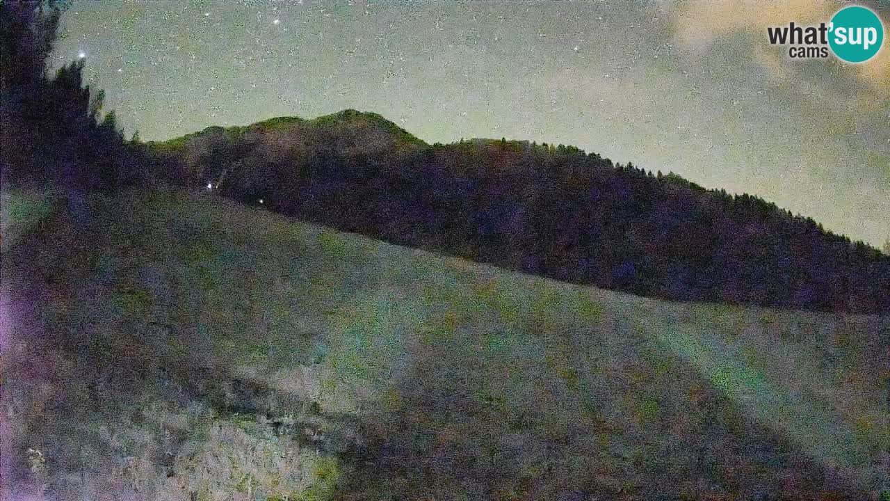 Comprensorio sciistico Kranjska Gora | Brsnina