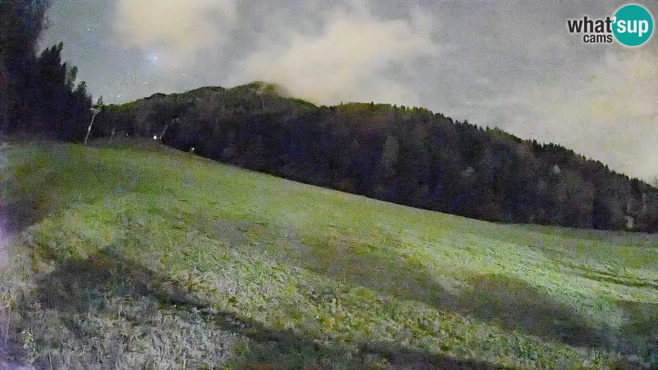 Ski Kranjska Gora | Brsnina