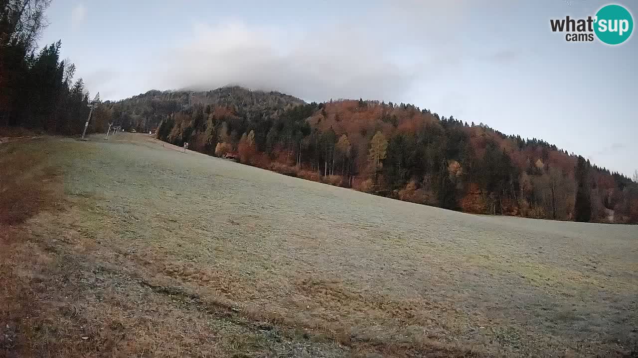 Kranjska Gora Station de ski | Brsnina