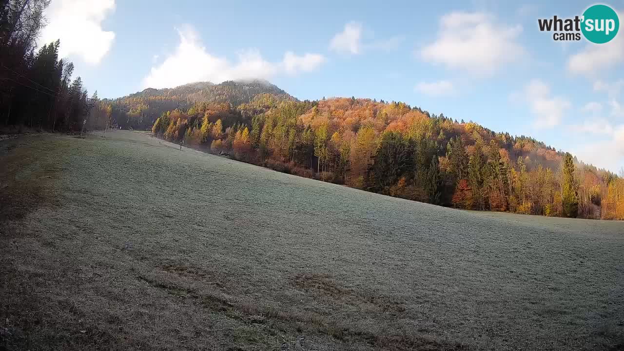 Ski Kranjska Gora | Brsnina