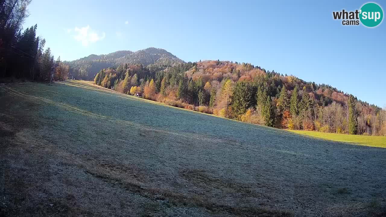 Esquí Kranjska Gora | Brsnina