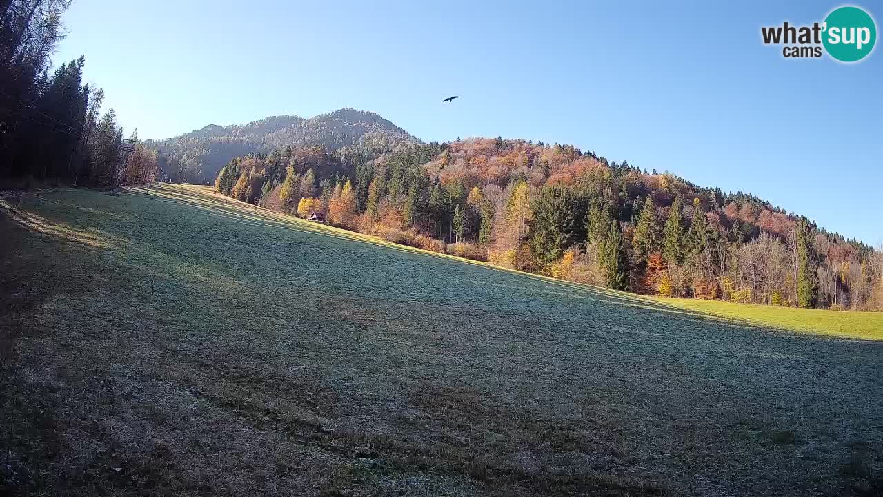 RTC Skigebiet Kranjska Gora | Brsnina