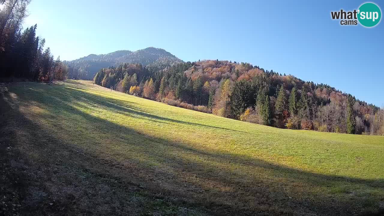Ski Kranjska Gora | Brsnina