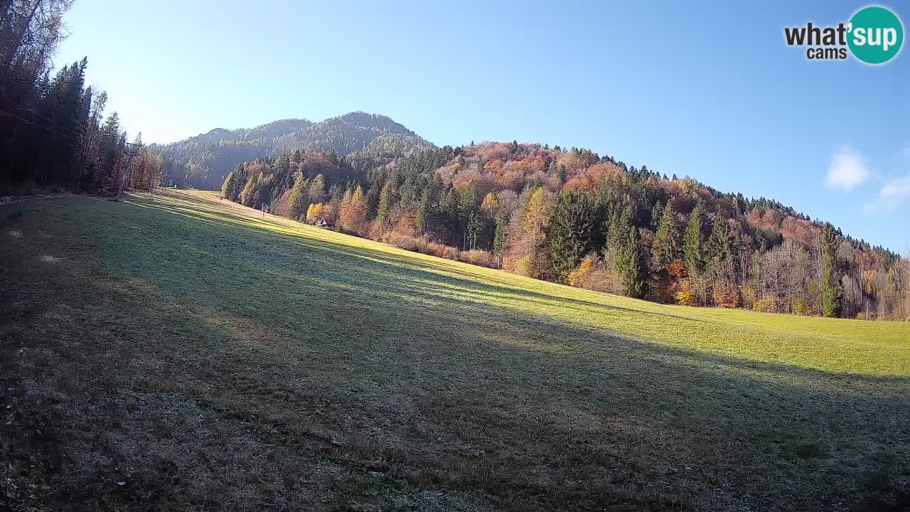 Ski Kranjska Gora | Brsnina
