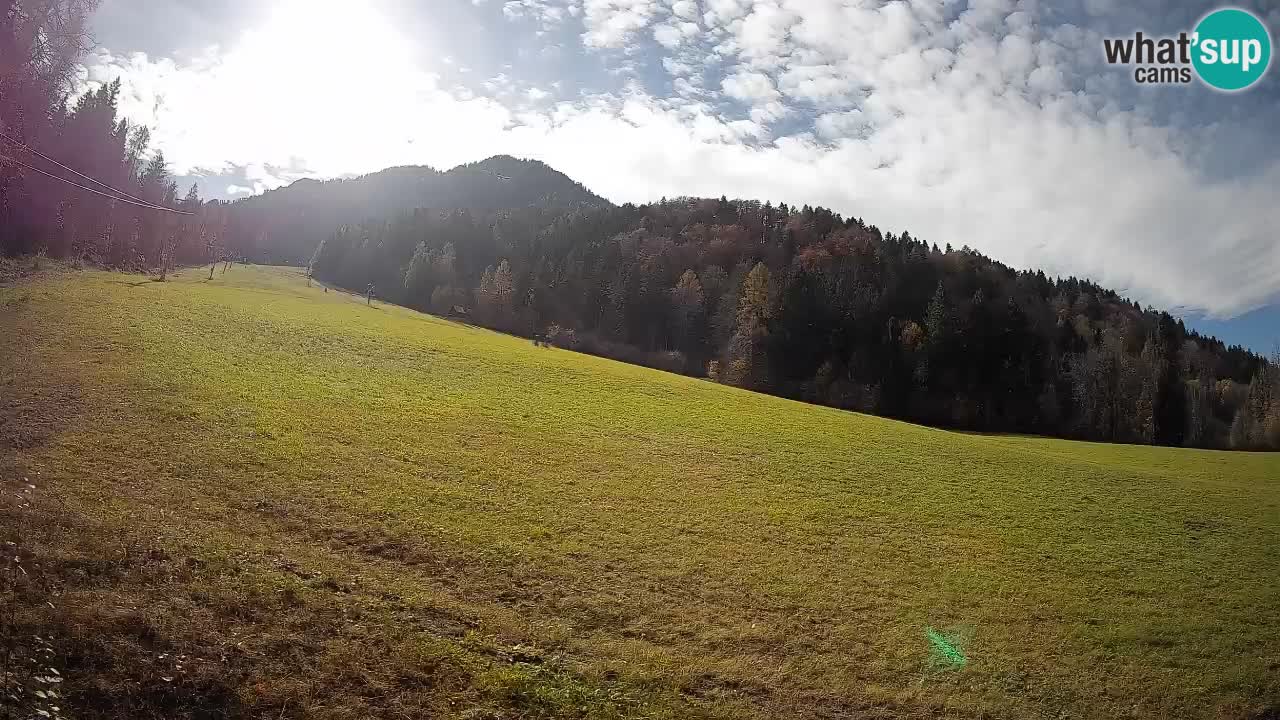 Comprensorio sciistico Kranjska Gora | Brsnina