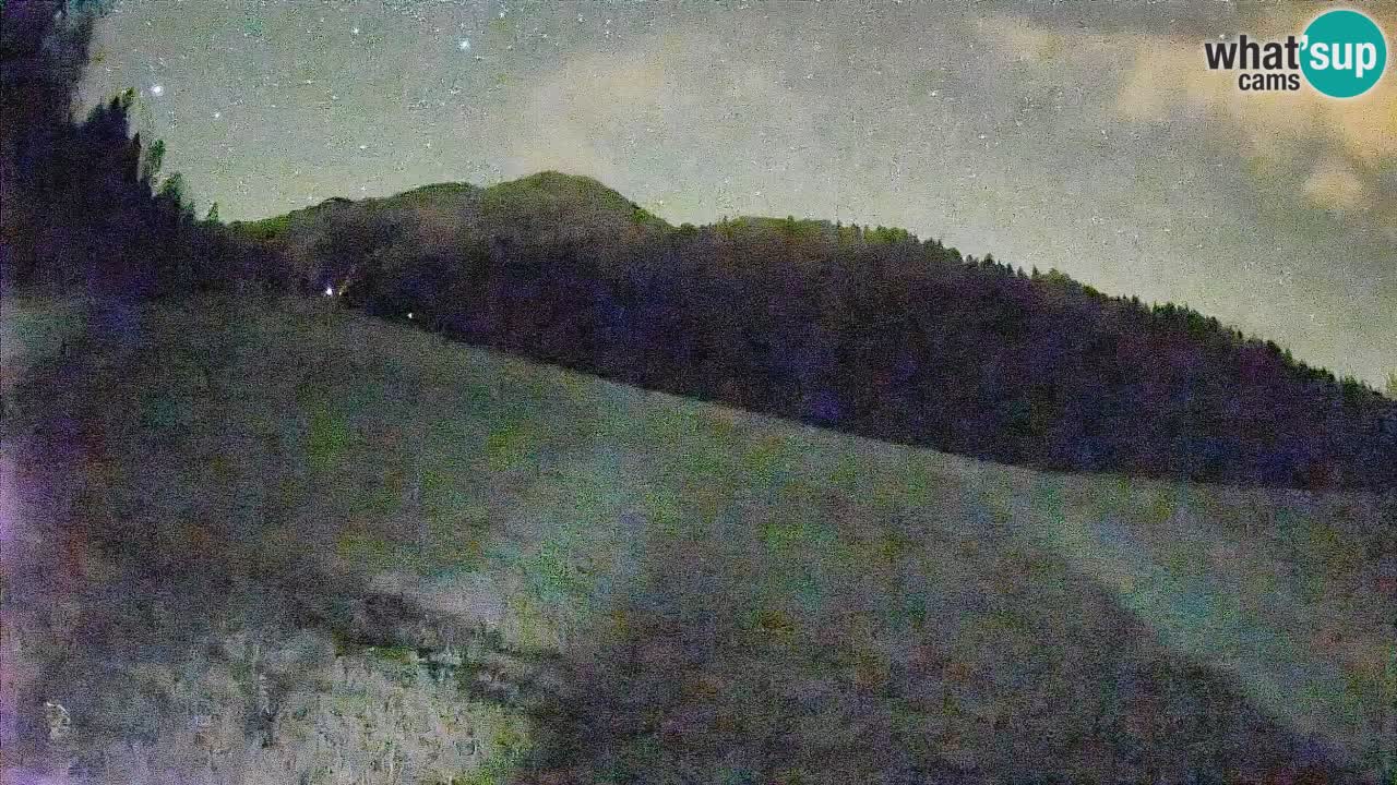 Ski Kranjska Gora | Brsnina