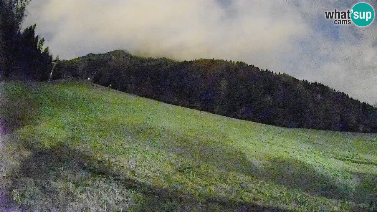 Esquí Kranjska Gora | Brsnina