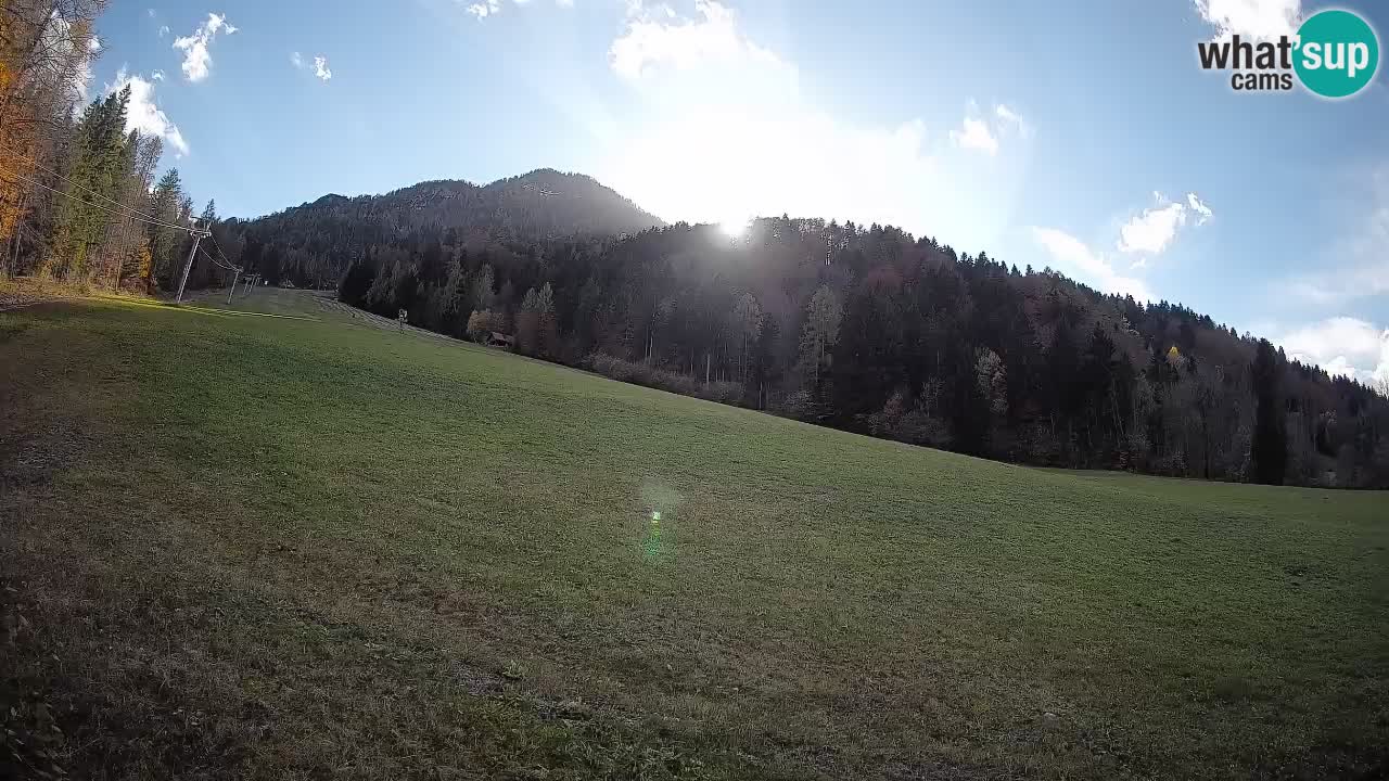 Comprensorio sciistico Kranjska Gora | Brsnina