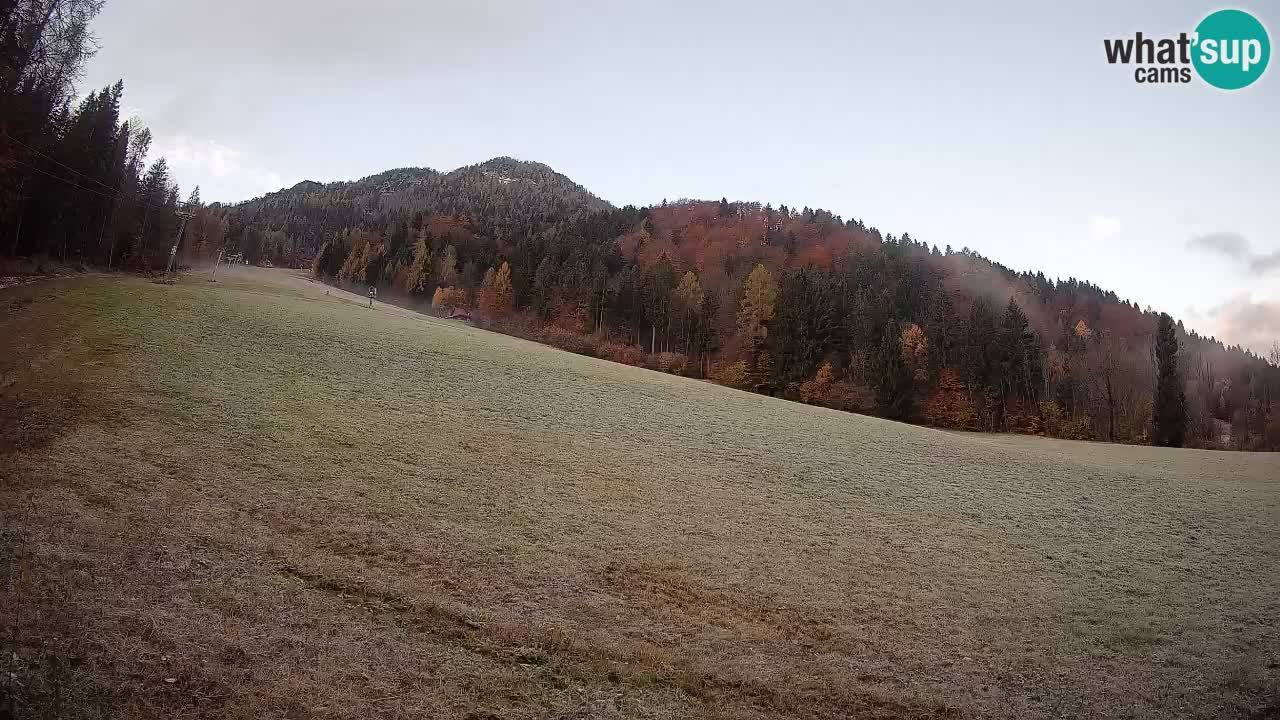 Comprensorio sciistico Kranjska Gora | Brsnina