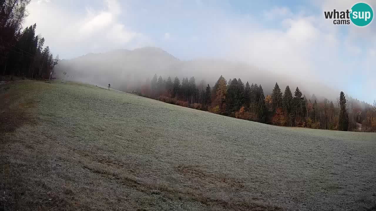 Kranjska Gora Station de ski | Brsnina