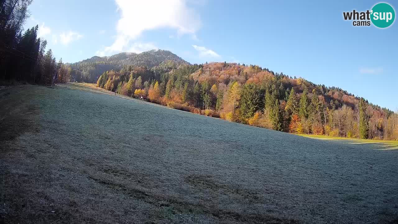 Kranjska Gora Station de ski | Brsnina
