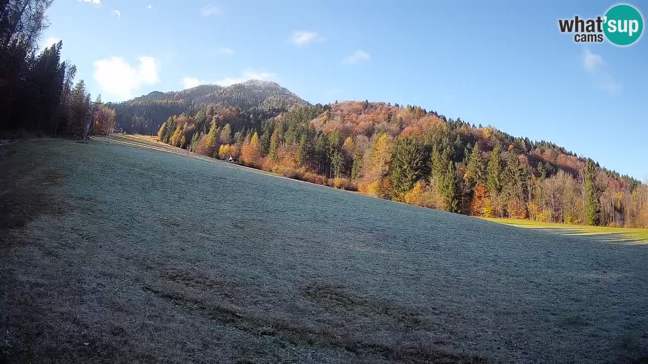 Kranjska Gora Station de ski | Brsnina
