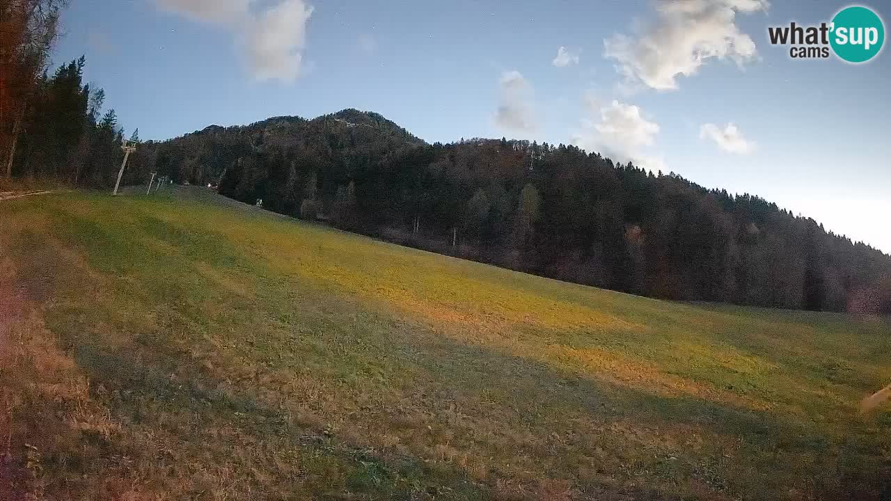 Ski Kranjska Gora | Brsnina