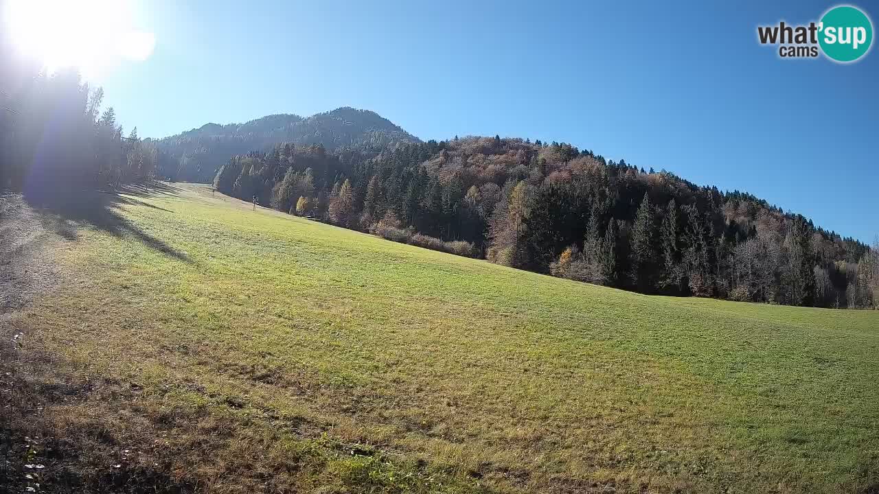 Kranjska Gora SKIJANJE | Brsnina
