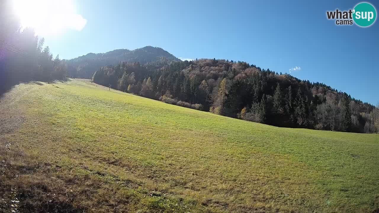 Comprensorio sciistico Kranjska Gora | Brsnina