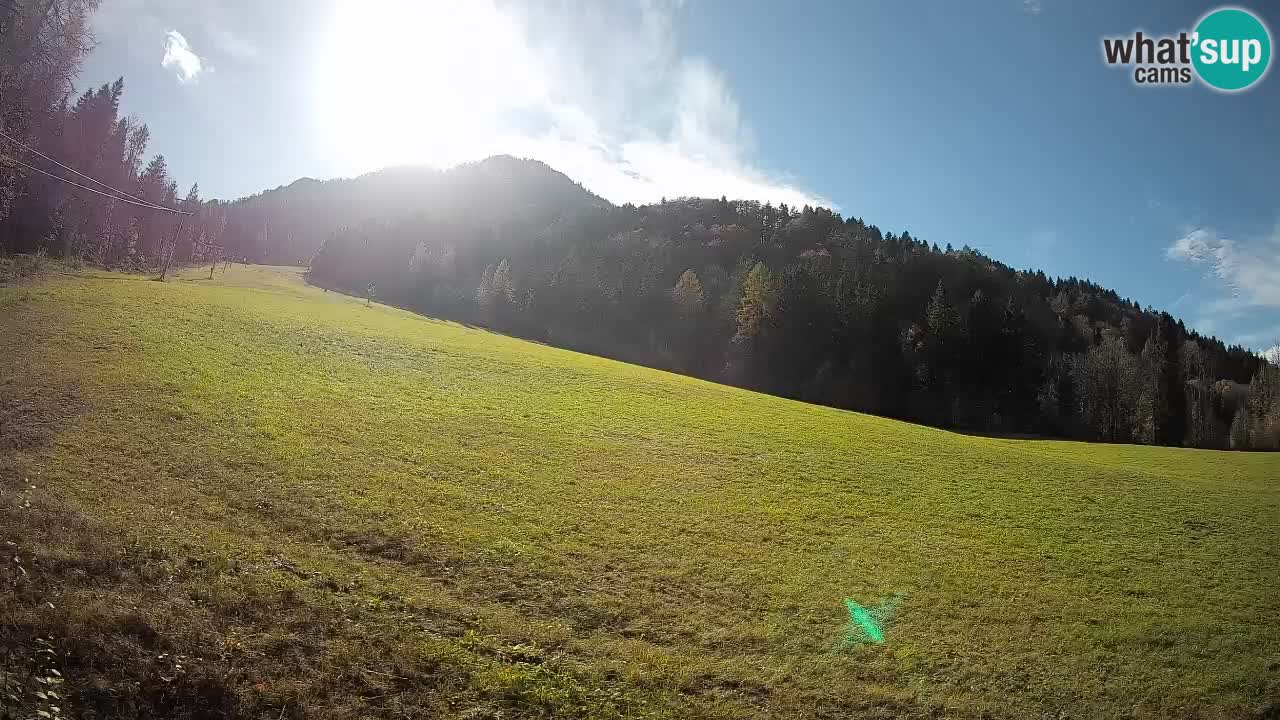 Ski Kranjska Gora | Brsnina