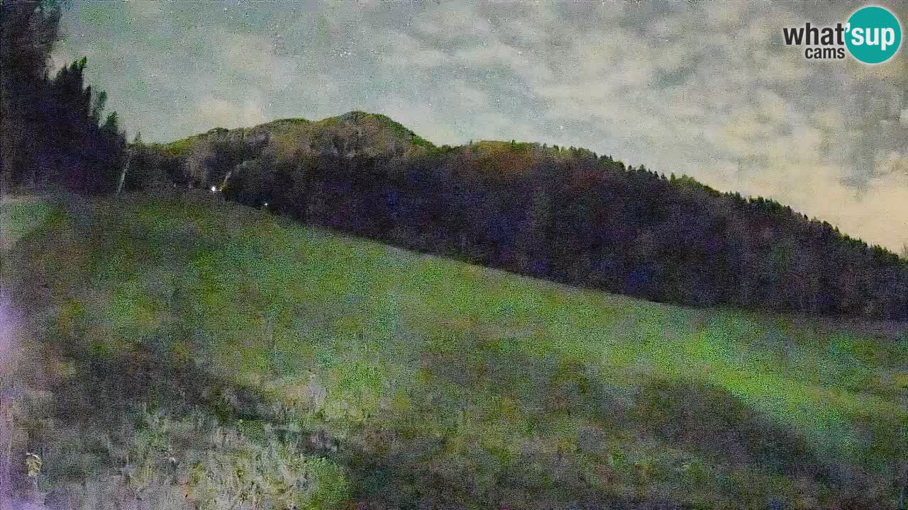 RTC Skigebiet Kranjska Gora | Brsnina