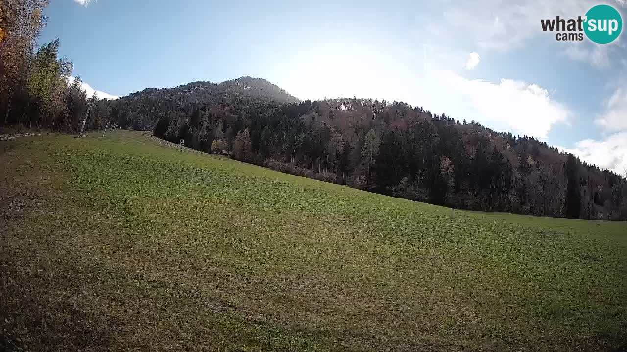 Comprensorio sciistico Kranjska Gora | Brsnina