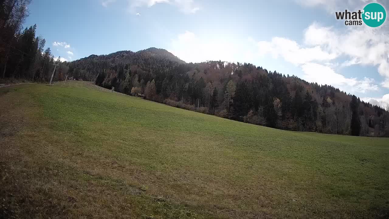 Ski Kranjska Gora | Brsnina