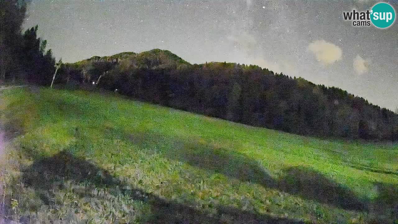 Esquí Kranjska Gora | Brsnina