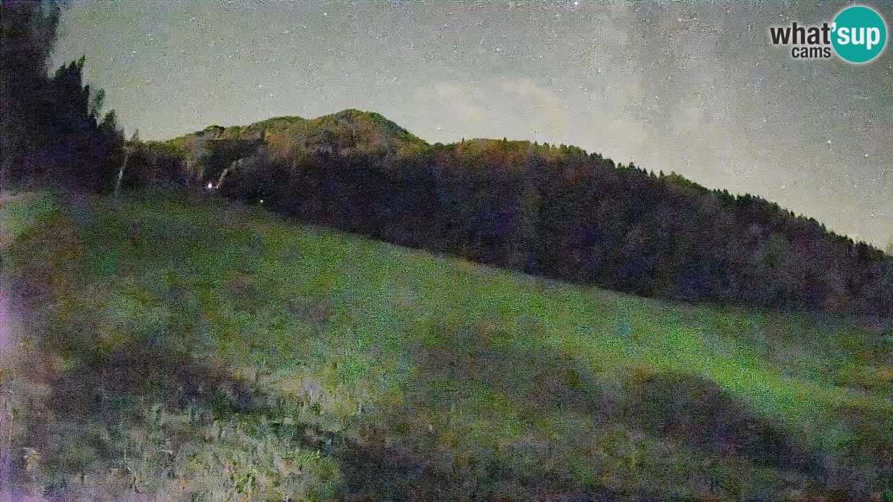 RTC Skigebiet Kranjska Gora | Brsnina