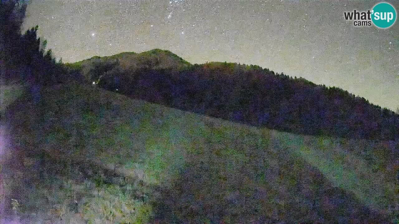 RTC Skigebiet Kranjska Gora | Brsnina