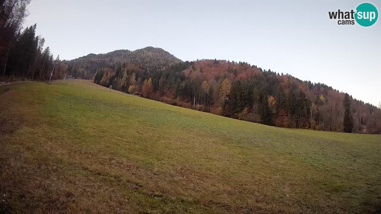 RTC Skigebiet Kranjska Gora | Brsnina