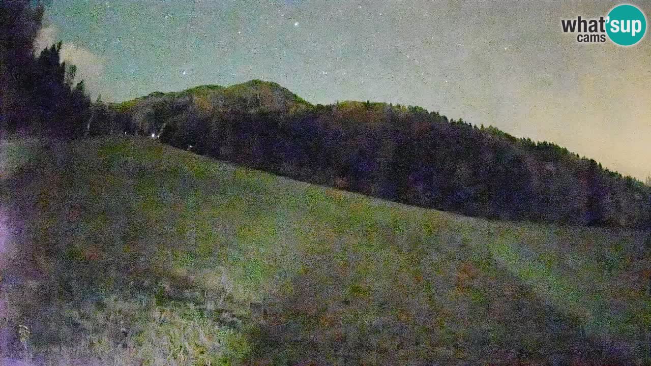 Comprensorio sciistico Kranjska Gora | Brsnina