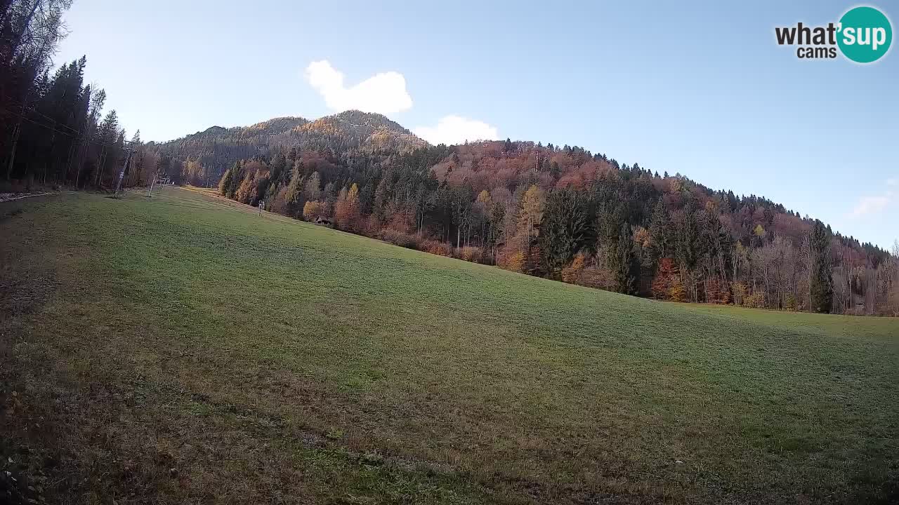 Kranjska Gora Station de ski | Brsnina