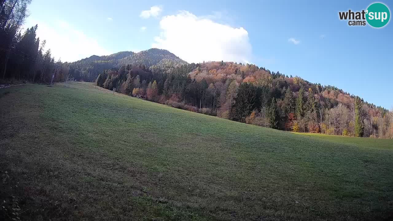 RTC Skigebiet Kranjska Gora | Brsnina