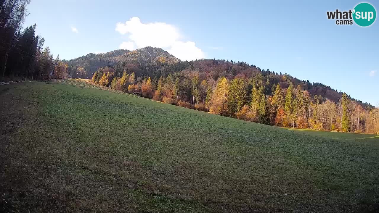 Comprensorio sciistico Kranjska Gora | Brsnina