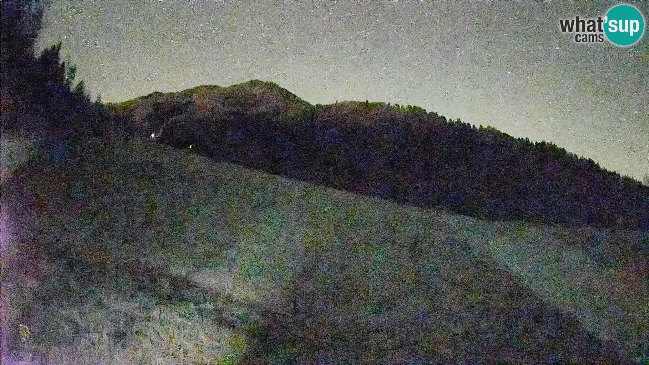 RTC Kranjska Gora | Brsnina