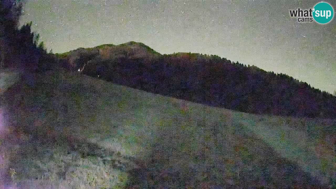Ski Kranjska Gora | Brsnina