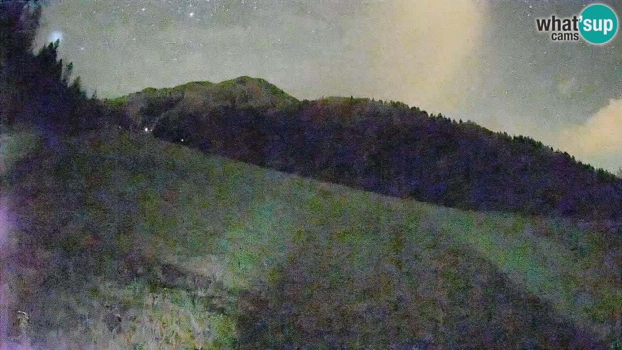Ski Kranjska Gora | Brsnina