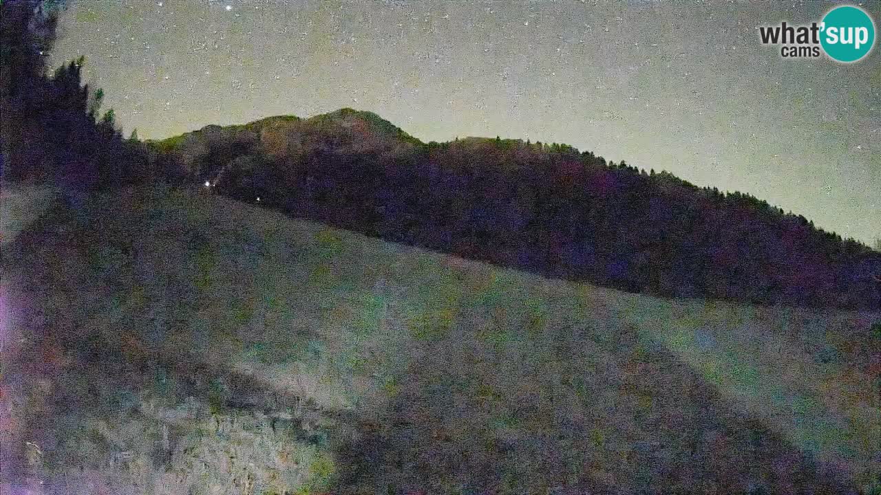 Ski Kranjska Gora | Brsnina