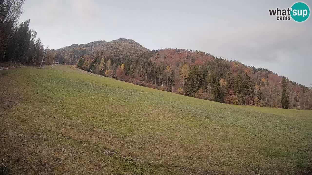 RTC Skigebiet Kranjska Gora | Brsnina