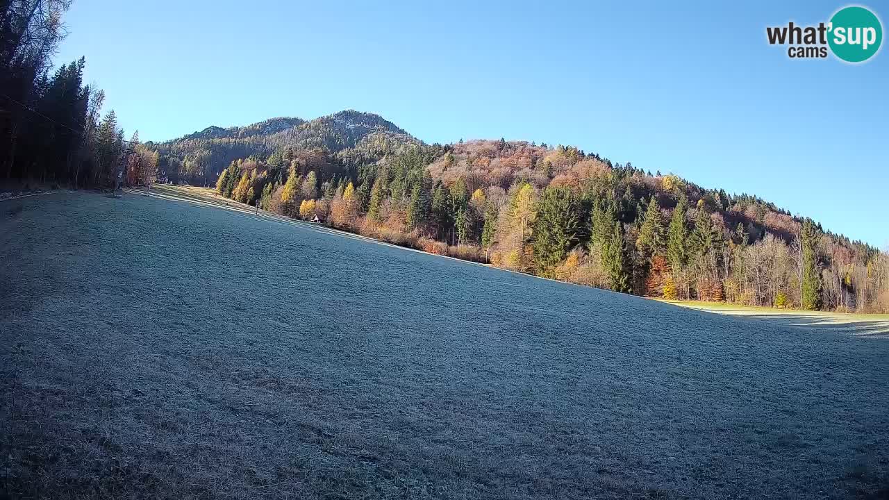 Kranjska Gora Station de ski | Brsnina