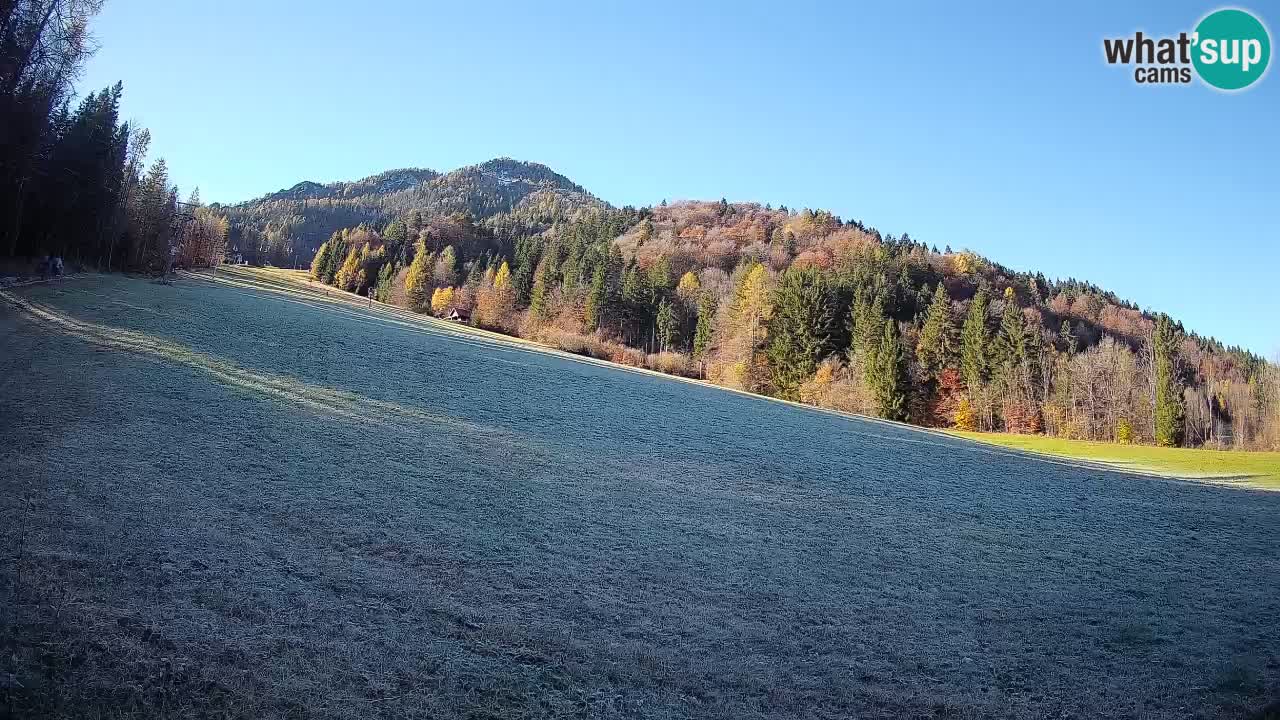 RTC Skigebiet Kranjska Gora | Brsnina