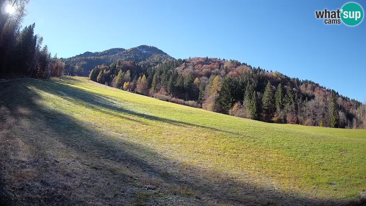 RTC Skigebiet Kranjska Gora | Brsnina