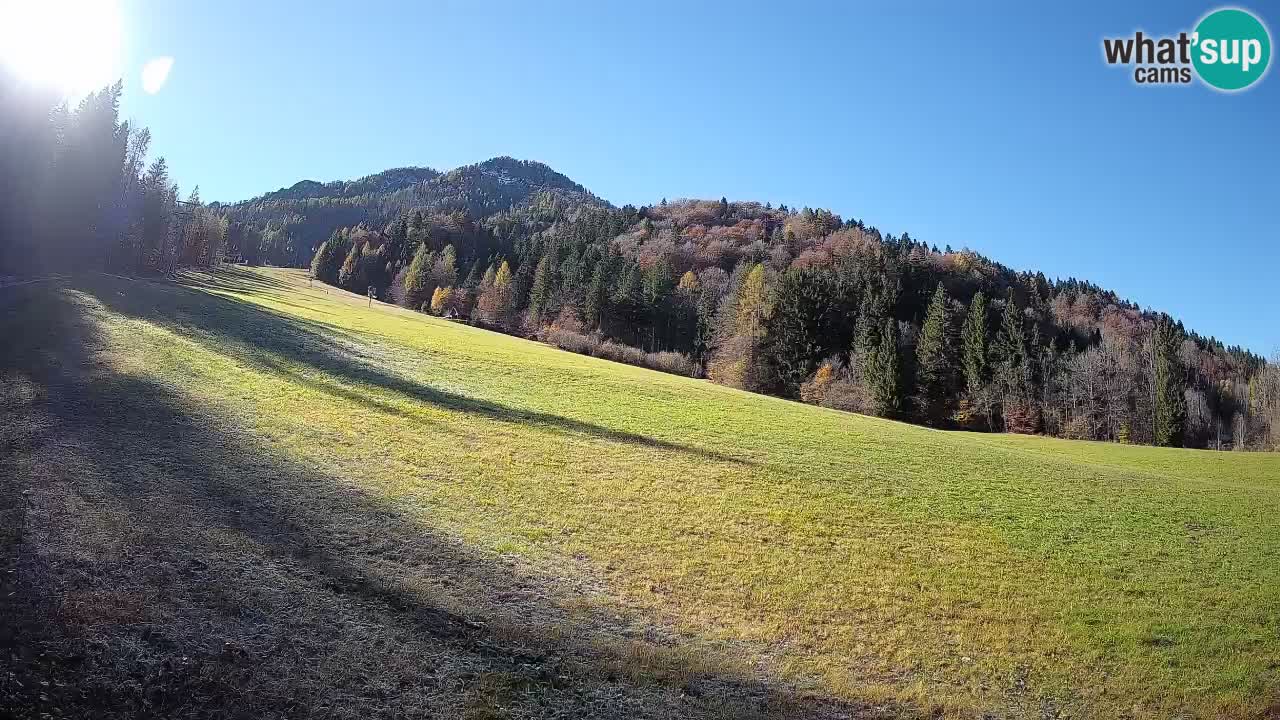 RTC Skigebiet Kranjska Gora | Brsnina