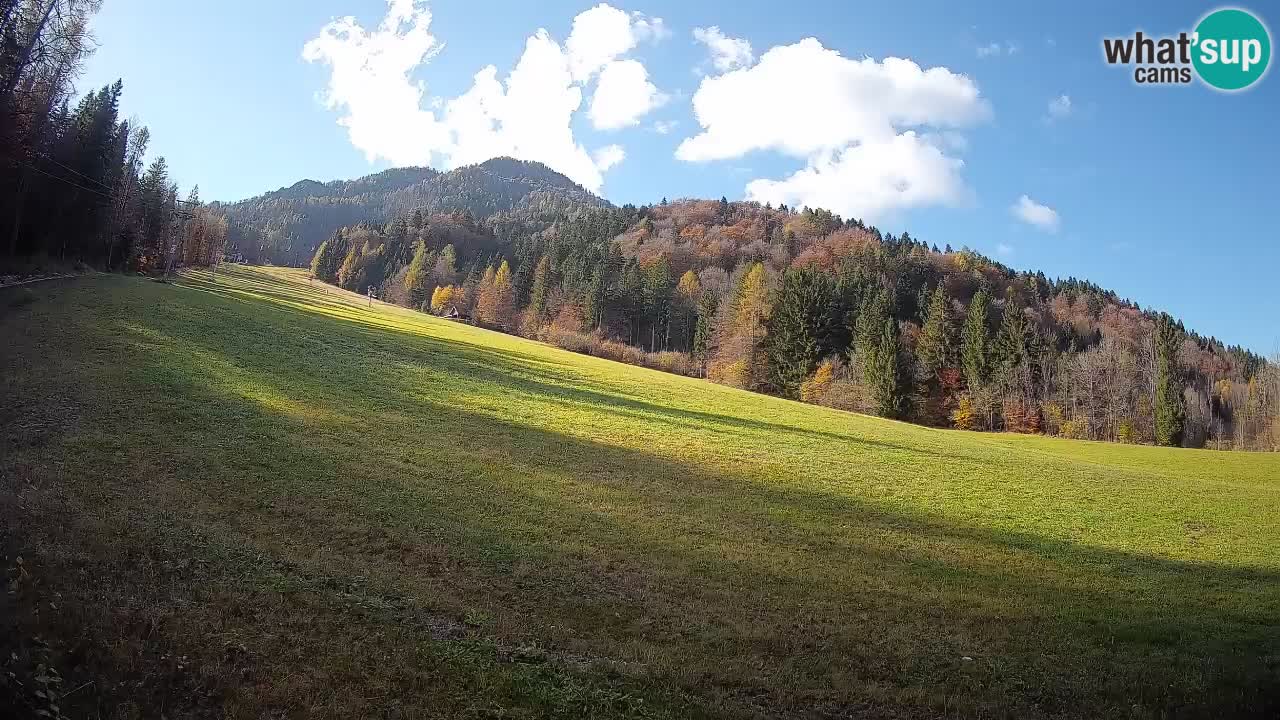RTC Skigebiet Kranjska Gora | Brsnina