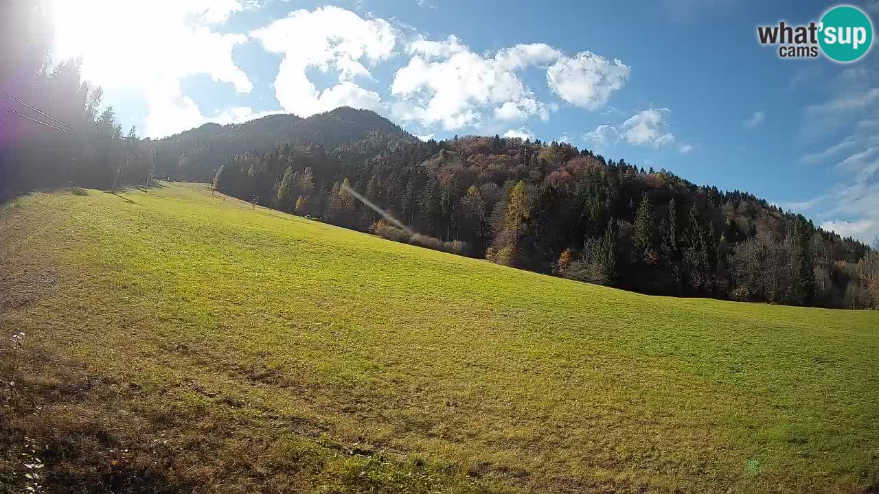 Comprensorio sciistico Kranjska Gora | Brsnina